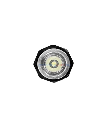 Фенер с гъвкаво и телескопично рамо LED, 20 Lumen FÖRCH – 3885, 77